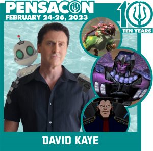 David Kaye
